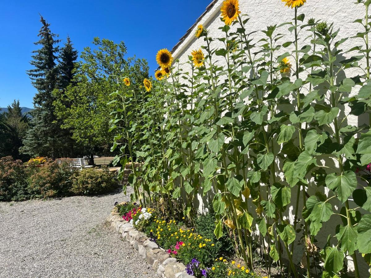 Le Cheval Blanc Bed & Breakfast แซร์ ภายนอก รูปภาพ